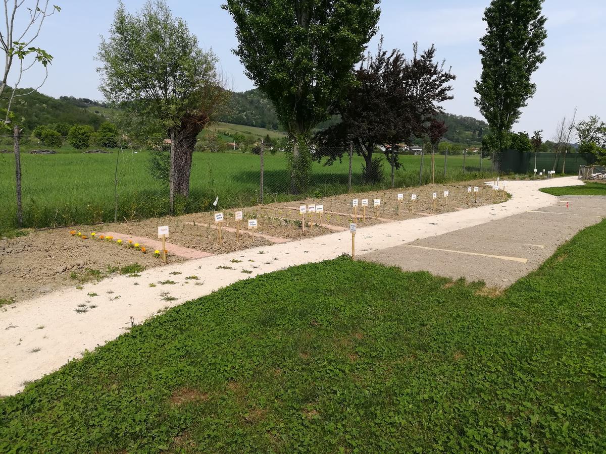 Casa In Campagna Βίλα Torreglia Εξωτερικό φωτογραφία